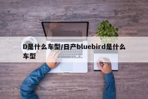 D是什么车型/日产bluebird是什么车型